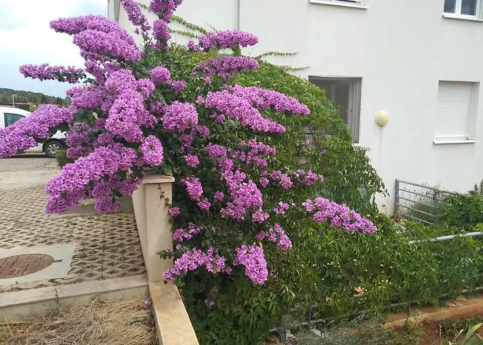 Apartman Paiz