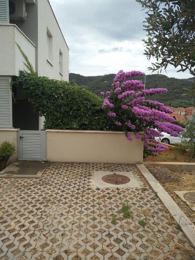 Paiz * Stari Grad (Hvar)